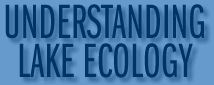 understanding lake ecology